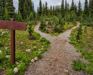 fork in the road